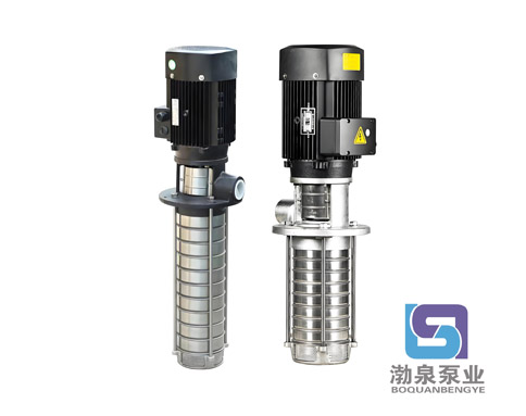 CDLK2-150/15|不锈钢浸入式多级泵
